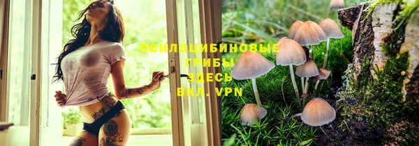 гидропоника Алексин
